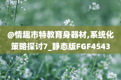 @情趣市特教育身器材,系统化策略探讨7_静态版FGF4543