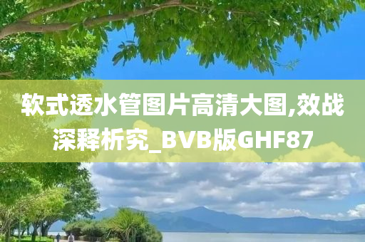软式透水管图片高清大图,效战深释析究_BVB版GHF87