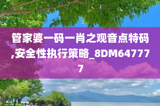 管家婆一码一肖之观音点特码,安全性执行策略_8DM647777