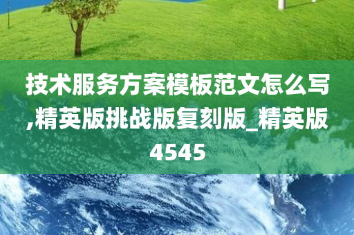 技术服务方案模板范文怎么写,精英版挑战版复刻版_精英版4545