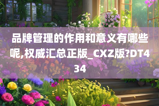 品牌管理的作用和意义有哪些呢,权威汇总正版_CXZ版?DT434