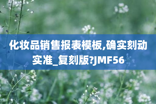 化妆今晚必出三肖2025_2025新澳门精准免费提供·精确判断品销售报表模板,确实刻动实准_复刻版?JMF56