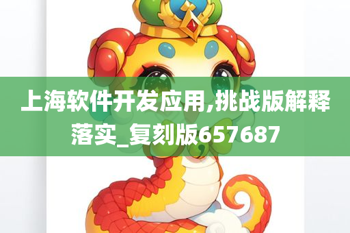 上海软件开发应用,挑战版解释落实_复刻版657687