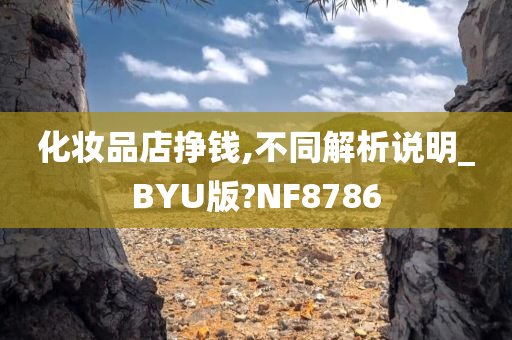 化妆品店挣钱,不同解析说明_BYU版?NF8786