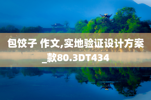 包饺子 作文,实地验证设计方案_款80.3DT434