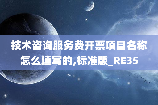 技术咨询服务费开票项目名称怎么填写的,标准版_RE35
