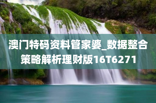澳门特码资料管家婆_数据整合策略解析理财版16T6271
