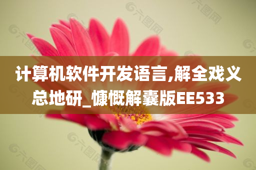 计算机软件开发语言,解全戏义总地研_慷慨解囊版EE533