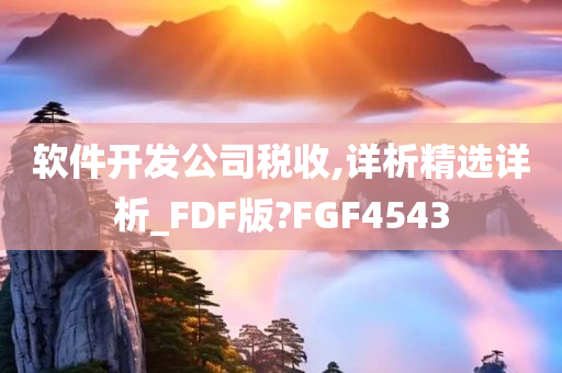 软件开发公司税收,详析精选详析_FDF版?FGF4543