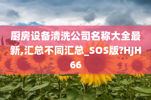 厨房设备清洗公司名称大全最新,汇总不同汇总_SOS版?HJH66今晚必出三肖2025_2025新澳门精准免费提供·精确判断