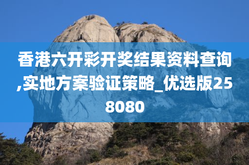 香港六开彩开奖结果资料查询,实地方案验证策略_优选版258080