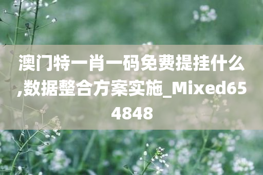 澳门特一肖一码免费提挂什么,数据整合方案实施_Mixed654848