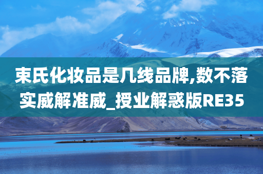 束氏化妆品是几线品牌,数不落实威解准威_授业解惑版RE35