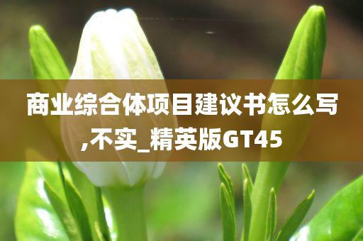 商业综合体项目建议书怎么写,不实_精英版GT45
