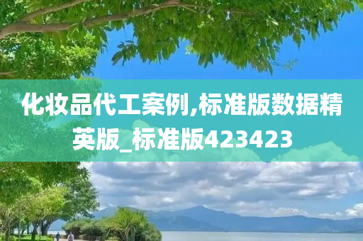 化妆品代工案例,标准版数据精英版_标准版423423