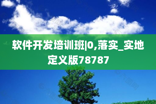 软件开发培训班|0,落实_实地定义版78787