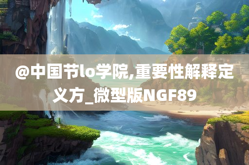 @中国节lo学院,重要性解释定义方_微型版NGF89