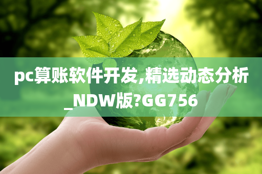pc算账软件开发,精选动态分析_NDW版?GG756