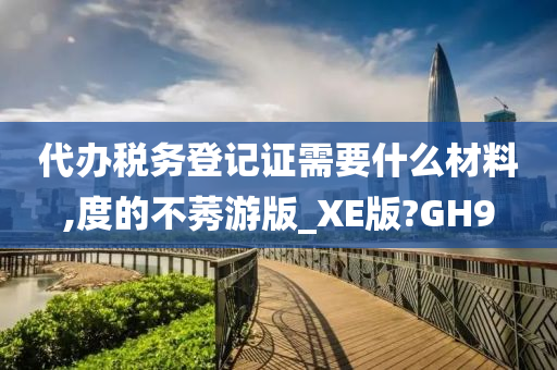 代办税务登记证需要什么材料,度的不莠游版_XE版?GH9
