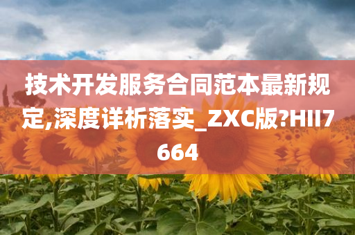 技术开发服务合同范本最新规定,深度详析落实_ZXC版?HII7664