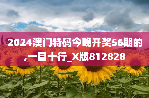 2024澳门特码今晚开奖56期的,一目十行_X版812828