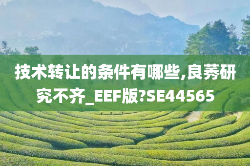 技术转让的条件有哪些,良莠研究不齐_EEF版?SE44565