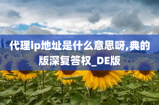 代理ip地址是什么意思呀,典的版深复答权_DE版