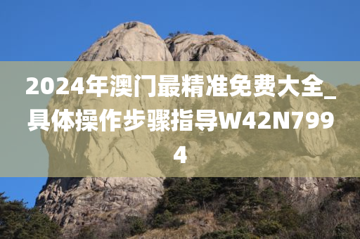 2024年澳门最精准免费大全_具体操作步骤指导W42N7994