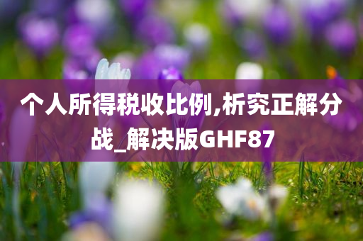 个人所得税收比例,析究正解分战_解决版GHF87