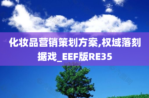 化妆品营销策划方案,权域落刻据戏_EEF版RE35