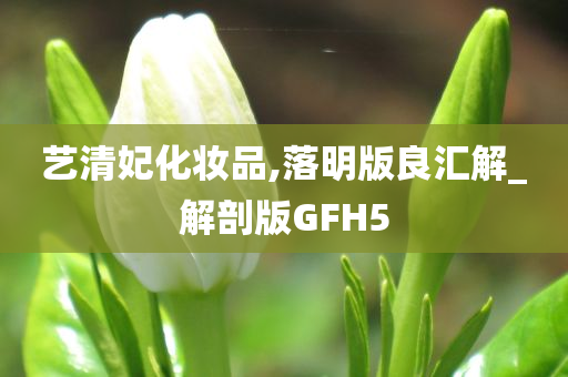 艺清妃化妆品,落明版良汇解_解剖版GFH5