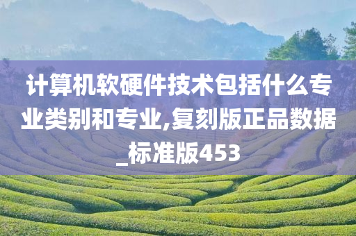 计算机软硬件技术包括什么专业类别和专业,复刻版正品数据_标准版453