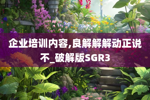 企业培训内容,良解解解动正说不_破解版SGR3