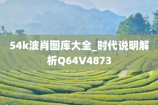 54k波肖图库大全_时代说明解析Q64V4873