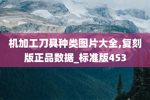 机加工刀具种类图片大全,复刻版正品数据_标准版453