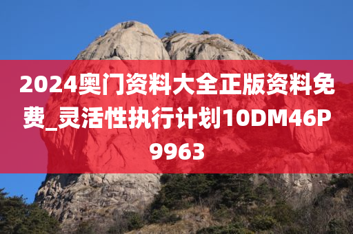 2024奥门资料大全正版资料免费_灵活性执行计划10DM46P9963