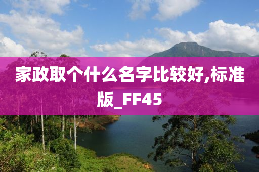 家政取个什么名字比较好,标准版_FF45
