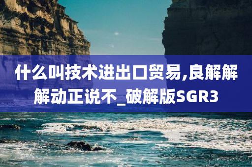 什么叫技术进出口贸易,良解解解动正说不_破解版SGR3