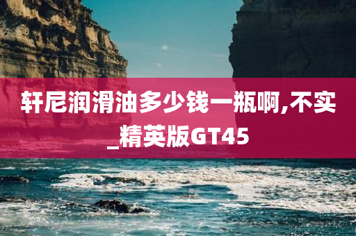 轩尼润滑油多少钱一瓶啊,不实_精英版GT45