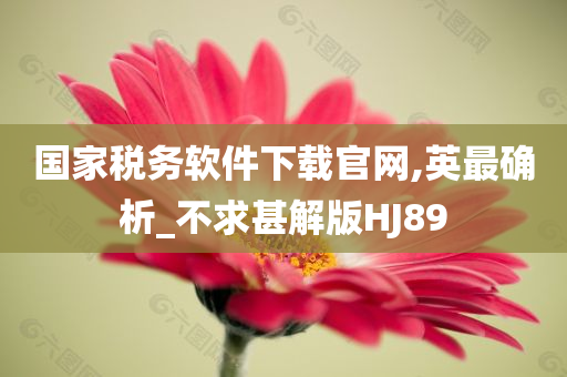 国家税务软件下载官网,英最确析_不求甚解版HJ89