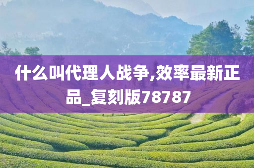 什么叫代理人战争,效率最新正品_复刻版78787