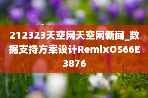 212323天空网天空网新闻_数据支持方案设计RemixOS66E3876