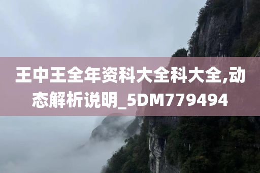 王中王全年资科大全科大全,动态解析说明_5DM779494