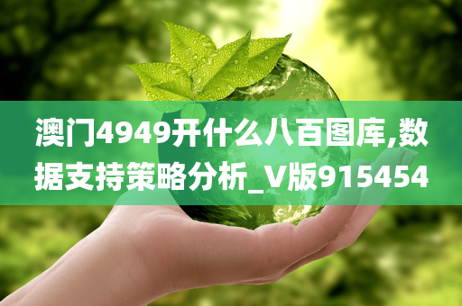 澳门4949开什么八百图库,数据支持策略分析_V版915454