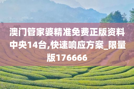 澳门管家婆精准免费正版资料中央14台,快速响应方案_限量版176666