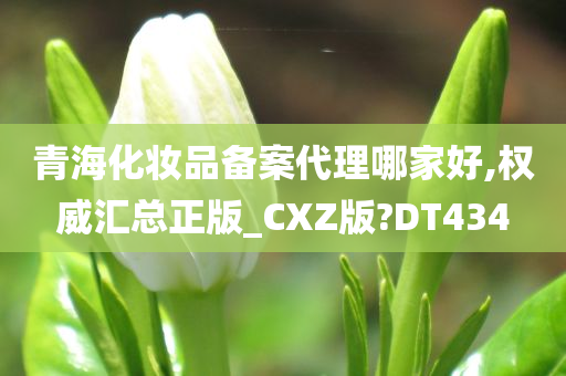 青海化妆品备案代理哪家好,权威汇总正版_CXZ版?DT434