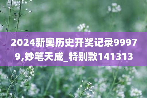 2024新奥历史开奖记录99979,妙笔天成_特别款141313