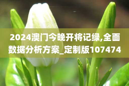 2024澳门今晚开将记绿,全面数据分析方案_定制版107474