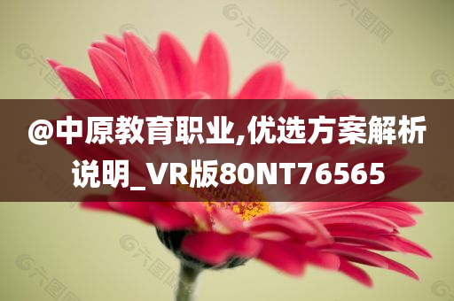 @中原教育职业,优选方案解析说明_VR版80NT76565