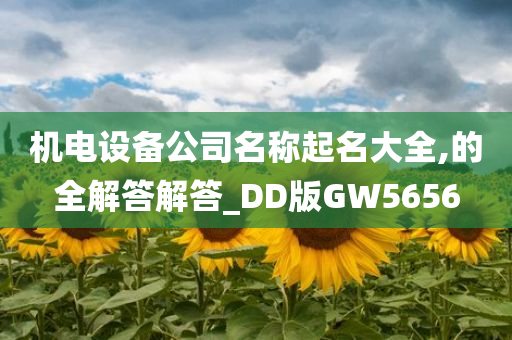 机电设备公司名称起名大全,的全解答解答_DD版GW5656